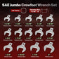 14PCS 1/2-Inch Drive Jumbo Crowfoot Wrench Set (50% OFF)